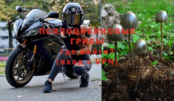гашик Верея