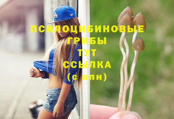 гашик Верея