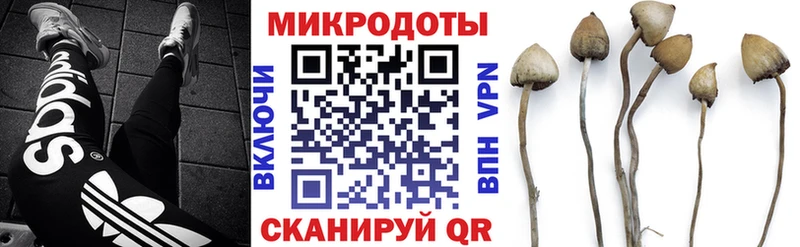Галлюциногенные грибы ЛСД магазин продажи Карпинск